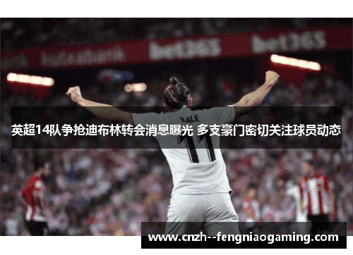 英超14队争抢迪布林转会消息曝光 多支豪门密切关注球员动态