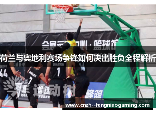 荷兰与奥地利赛场争锋如何决出胜负全程解析 荷兰与奥地利赛场争锋如何决出胜负全程解析