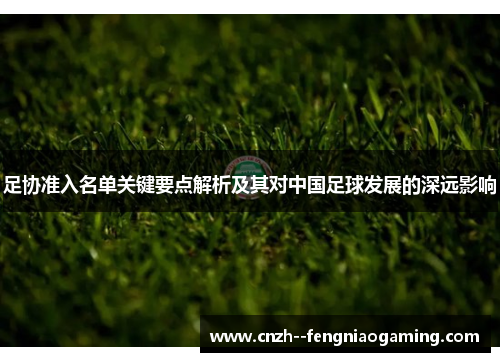 足协准入名单关键要点解析及其对中国足球发展的深远影响
