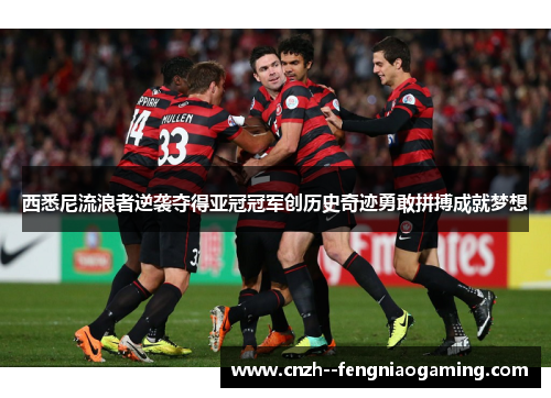 西悉尼流浪者逆袭夺得亚冠冠军创历史奇迹勇敢拼搏成就梦想 西悉尼流浪者逆袭夺得亚冠冠军创历史奇迹勇敢拼搏成就梦想